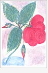 Postkarte Rosenblüten